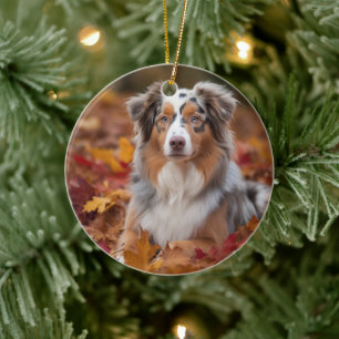 Australian Shepherd in herfstbladeren val inspirer Keramisch Ornament