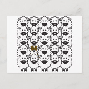 Australian Shepherd in the Sheep Briefkaart