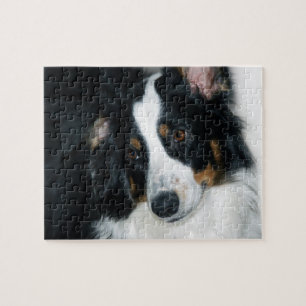 Australian Shepherd Jigsaw Puzzle Legpuzzel