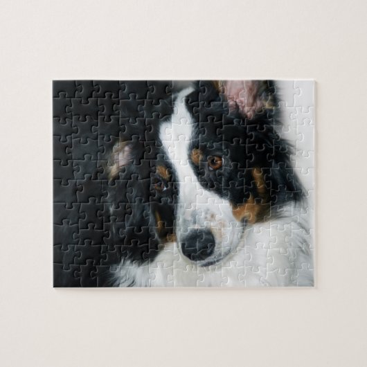 Australian Shepherd Jigsaw Puzzle Legpuzzel (Horizontaal)