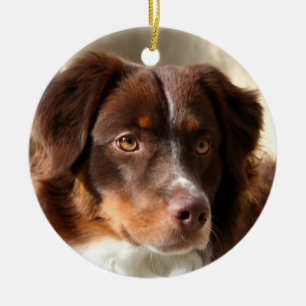 Australian Shepherd Keramisch Ornament