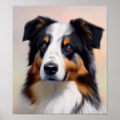 Australian Shepherd Kopf - Poster (Voorkant)