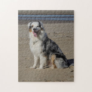 Australian Shepherd Legpuzzel