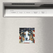 Australian Shepherd Magneet (Insitu (Vaatwasser))