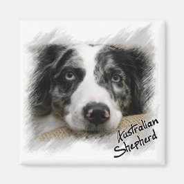 Australian Shepherd Magnet Magneet