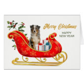 Australian Shepherd Merle Kerstsleigh Kaart (Voorkant Horizontaal)