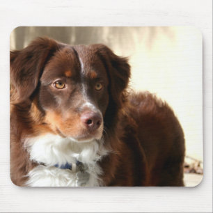 Australian Shepherd mousepad Muismat
