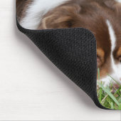 Australian Shepherd Mousepad Muismat (Hoek)