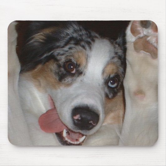 Australian Shepherd Muismat (Voorkant)