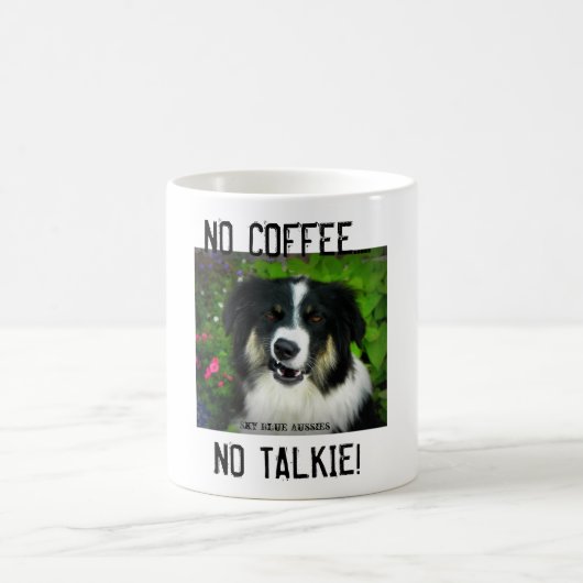 Australian Shepherd - NO COFFEE - Mok (Center)