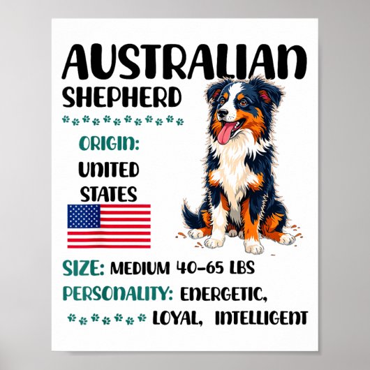 Australian Shepherd Origin Funny Aussie Dog Lover  Poster (Voorkant)