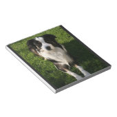 Australian Shepherd Photo Notitieblok (Schuin)