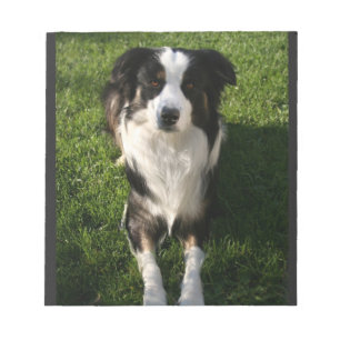 Australian Shepherd Photo Notitieblok