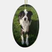 Australian Shepherd Photo Ornament (Links)