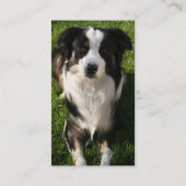 Australian Shepherd Photo Visitekaartje (Achterkant)