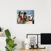 Australian Shepherd Portrait Fine Art Print (Thuiskantoor)