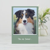 Australian Shepherd Portrait - Kaart (Staand voorkant)