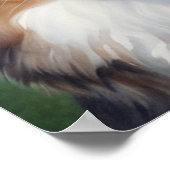 Australian Shepherd Portrait  -  Poster (Hoek)