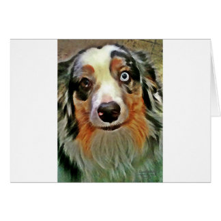 Australian Shepherd Print