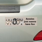 Australian Shepherd Puppies Bumpersticker (Op auto)