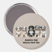 Australian Shepherd Puppies Magnet Magneet (Voorkant / Achterkant)