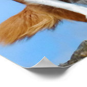 Australian Shepherd Puppy Dogs Poster (Hoek)