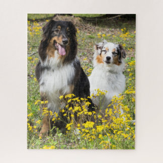 Australian Shepherd Puzzle Legpuzzel