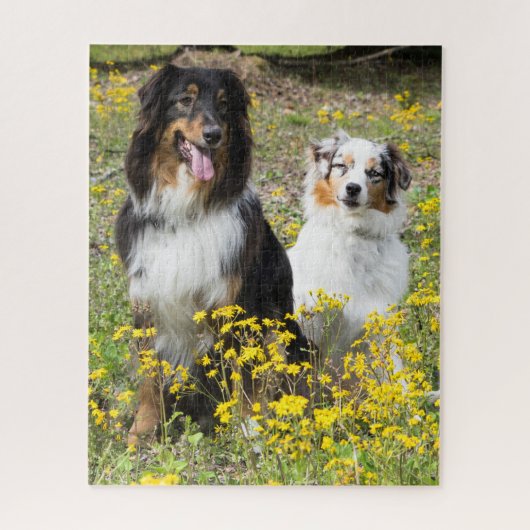 Australian Shepherd Puzzle Legpuzzel (Verticaal)