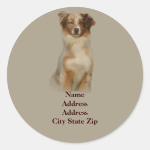 Australian Shepherd Red Address Label