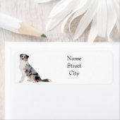 Australian Shepherd Retouradres Label (Insitu)