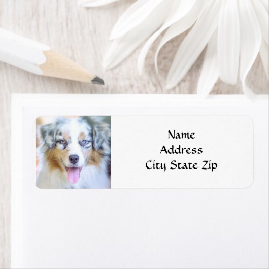 * AUSTRALIAN SHEPHERD* RETURN ADDRESS LABEL (Insitu)