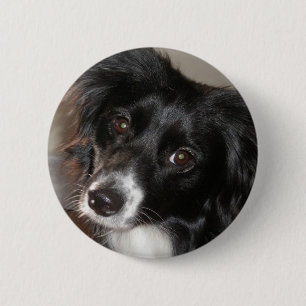 Australian Shepherd Ronde Button 5,7 Cm