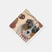 AUSTRALIAN SHEPHERD SERVET (Hoek)