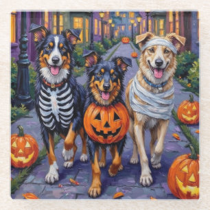 Australian Shepherd snoep vragen met Halloween Glazen Onderzetter