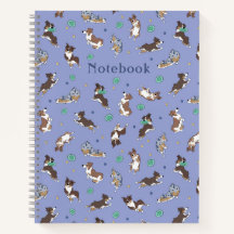 Australian Shepherd speelt leuke aangepaste spiraa