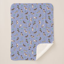 Australian Shepherd speelt plezier