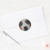 Australian Shepherd Stickers (Envelop)