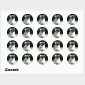 Australian Shepherd stickers (Vel)