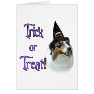 Australian Shepherd Trick