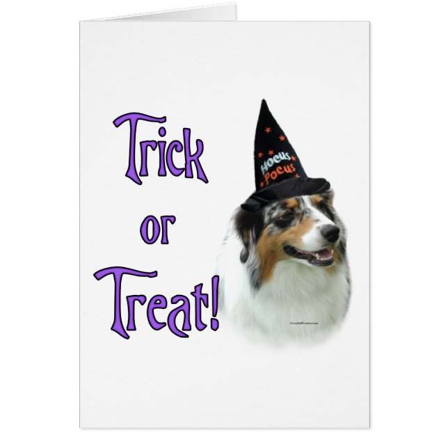 Australian Shepherd Trick (Devant)