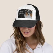 Australian Shepherd Trucker Pet (In situ)