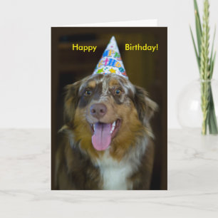 Australian Shepherd Verjaardagsfeest Hond Kaart