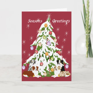 Australian Shepherd - Vrolijk kerstfeest Feestdagen Kaart