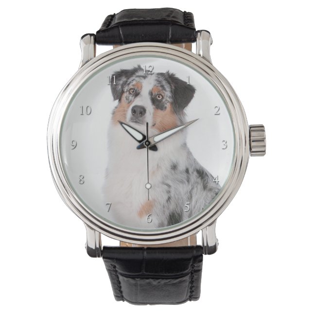 Australian Shepherd Watch Horloge (Voorkant)