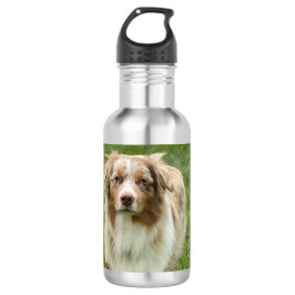 Australian Shepherd Water Bottle Waterfles