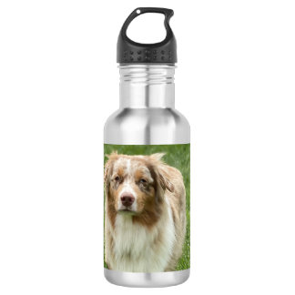 Australian Shepherd Water Bottle Waterfles