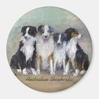 Australian Shepherds - Piraten & Dochters Magneet