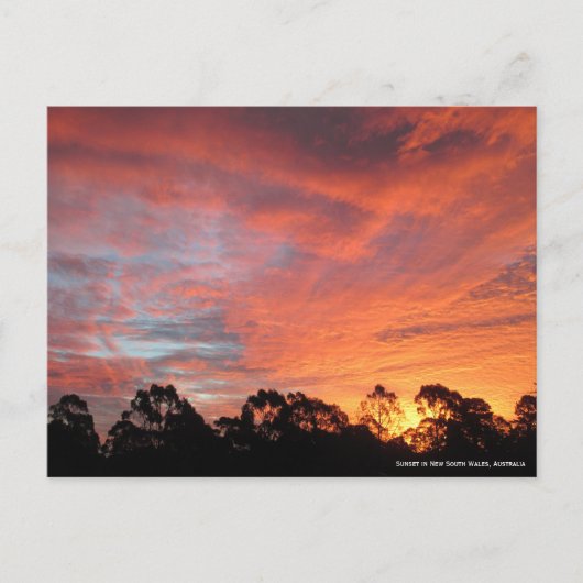 Australian Sunset Briefkaart (Voorkant)