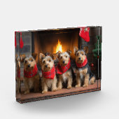 Australian Terrier bij de open haard Kerstmis Fotoblokken (Links)