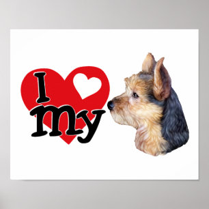Australian Terrier I (hart) mijn Poster